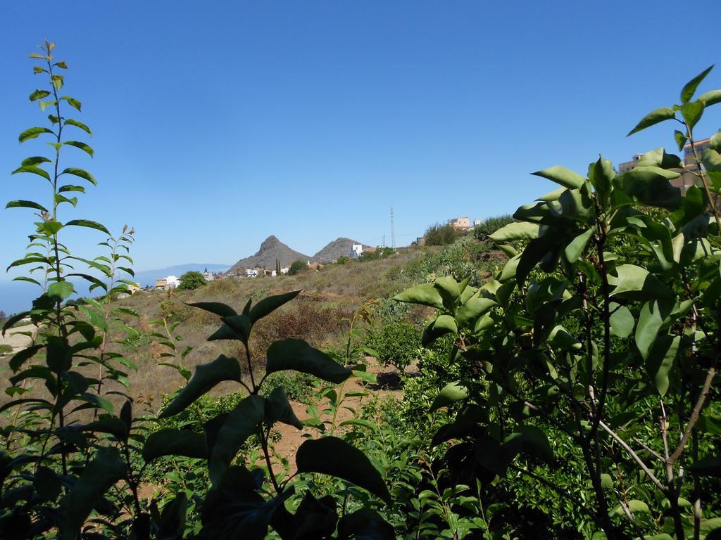 Casa Rural Isabel Villa วิลาฟลอร์ ภายนอก รูปภาพ